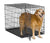 MidWest iCrate Dog Crate 42in x 28in x 30in