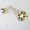 Speakman S-2252-PB-E2 Signature Brass Icon Anystream Adjustable Shower Head, Polished Brass