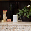 Sonos One (Gen 1) - Voice Controlled Smart Speaker with Amazon Alexa Built-in (White)